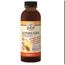 Concentrat de kombucha cu extract de echinacea purpurea și vitamina C (500 ml)