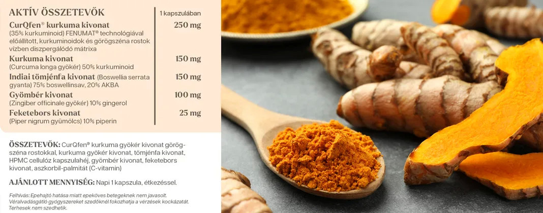 YiYa Curcuma CurQfen®, 60 capsule