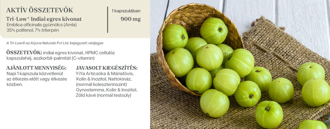 YiYa Agriș Indian (Amla) Tri-Low® Capsule (60 buc)