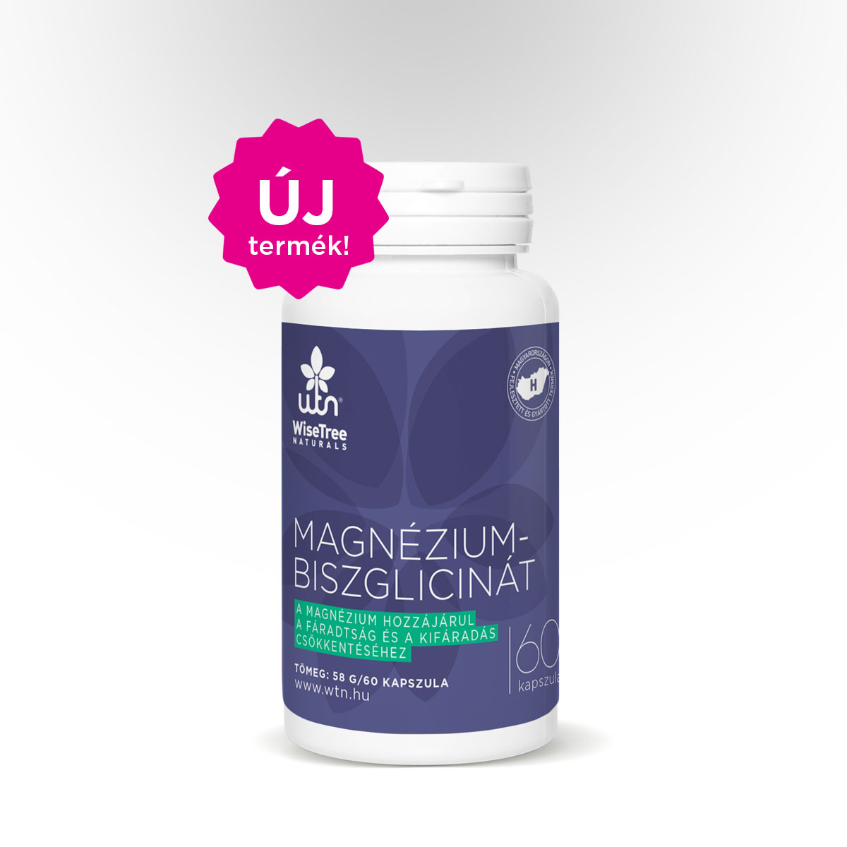 WTN BISGLICINAT DE MAGNEZIU 60 capsule