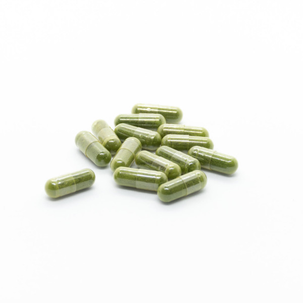 PREMIUM LINE - Freeze-dried wheatgrass juice in a VEGAN capsule - 42 days dose package