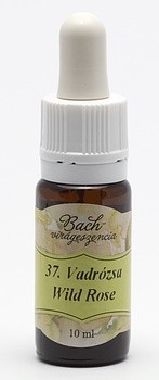 BACH 37 WILD ROSE (MĂCEȘI)
